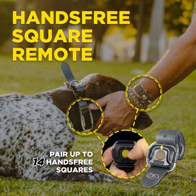 Show full view: Dogtra 1900X Handsfree Waterproof Vibration & Tone Remote Dog Training Collar, 13 to 20-in neck, Black slide 9 of 10