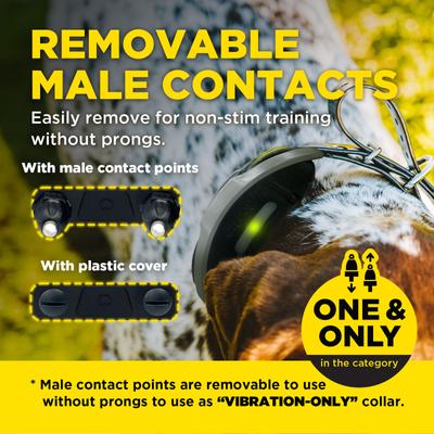 Show full view: Dogtra 1900X Handsfree Waterproof Vibration & Tone Remote Dog Training Collar, 13 to 20-in neck, Black slide 6 of 10