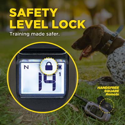 Show full view: Dogtra 1900X Handsfree Waterproof Vibration & Tone Remote Dog Training Collar, 13 to 20-in neck, Black slide 4 of 10