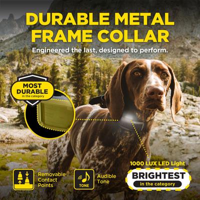 Show full view: Dogtra 1900X Handsfree Waterproof Vibration & Tone Remote Dog Training Collar, 13 to 20-in neck, Black slide 8 of 10