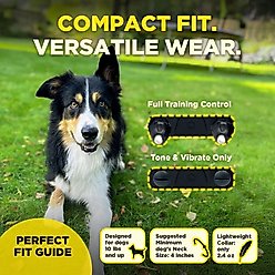 Dogtra 200iQ 1 MODERN DOTS Waterproof Dog Training E-Collar, Multicolor slide 2 of 9