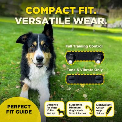 Show full view: Dogtra 200iQ 1/2 Mile IPX9K Waterproof Vibration & Tone Rechargeable Remote Dog Training Collar, Black slide 5 of 10