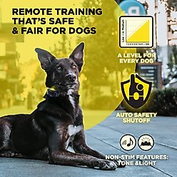 Dogtra 200iQ 1 ZEBRA Waterproof Dog Training E-Collar, Multicolor slide 2 of 9