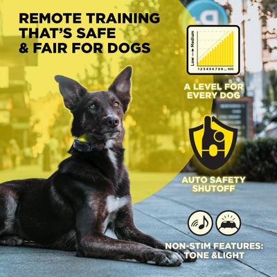 Show full view: Dogtra 200iQ 1/2 Mile IPX9K Waterproof Vibration & Tone Rechargeable Remote Dog Training Collar, Black slide 9 of 10