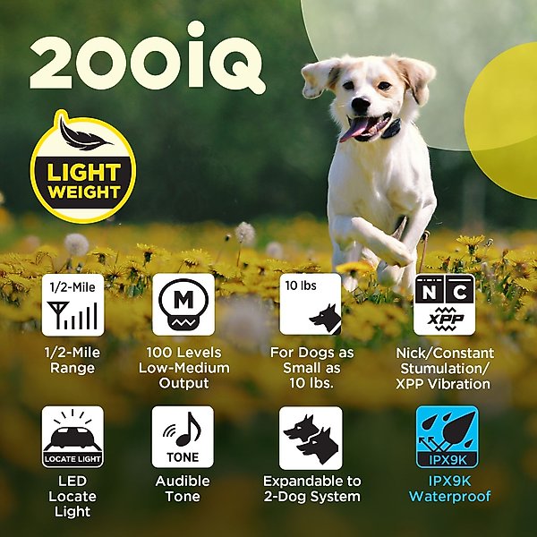 Show full view: Dogtra 200iQ 2-Dog 1/2 Mile IPX9K Waterproof Vibration & Tone Rechargeable Remote Dog Training Collar, Black & Orange slide 8 of 9