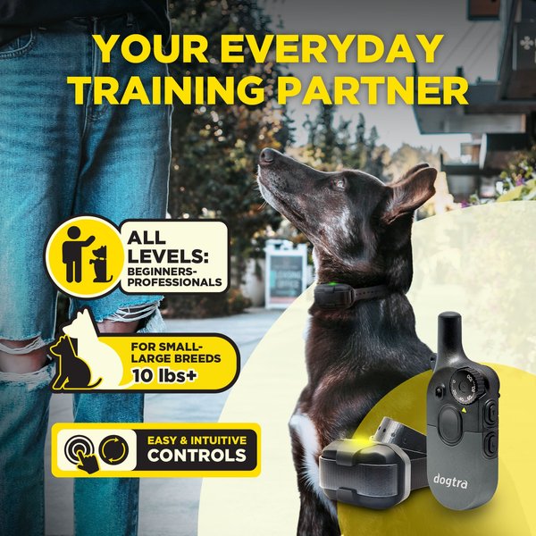 Show full view: Dogtra 200iQ 2-Dog 1/2 Mile IPX9K Waterproof Vibration & Tone Rechargeable Remote Dog Training Collar, Black & Orange slide 3 of 9