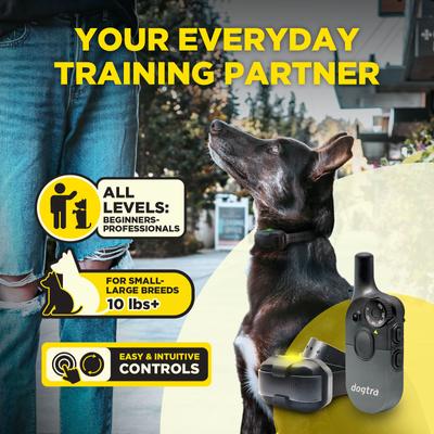 Show full view: Dogtra 200iQ 1/2 Mile IPX9K Waterproof Vibration & Tone Rechargeable Remote Dog Training Collar, Black slide 3 of 10