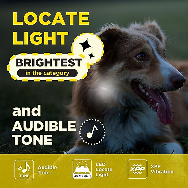 Show full view: Dogtra 200iQ 2-Dog 1/2 Mile IPX9K Waterproof Vibration & Tone Rechargeable Remote Dog Training Collar, Black & Orange slide 6 of 9