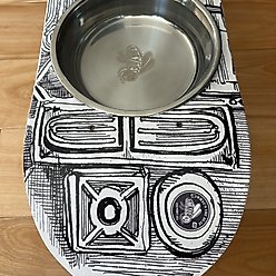 Funky Flies BoomBox SkateBowls Stainless Steel Elevated Cat Bowls, 3-cup slide 2 of 8