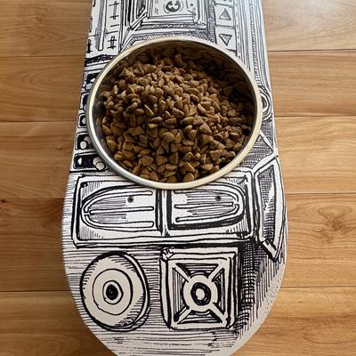 Show full view: Funky Flies BoomBox SkateBowls Stainless Steel Elevated Cat Bowls, 3-cup slide 6 of 9