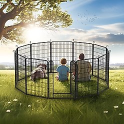 Cesicia Outdoor 12-Panel Metal Dog Playpen, Black
