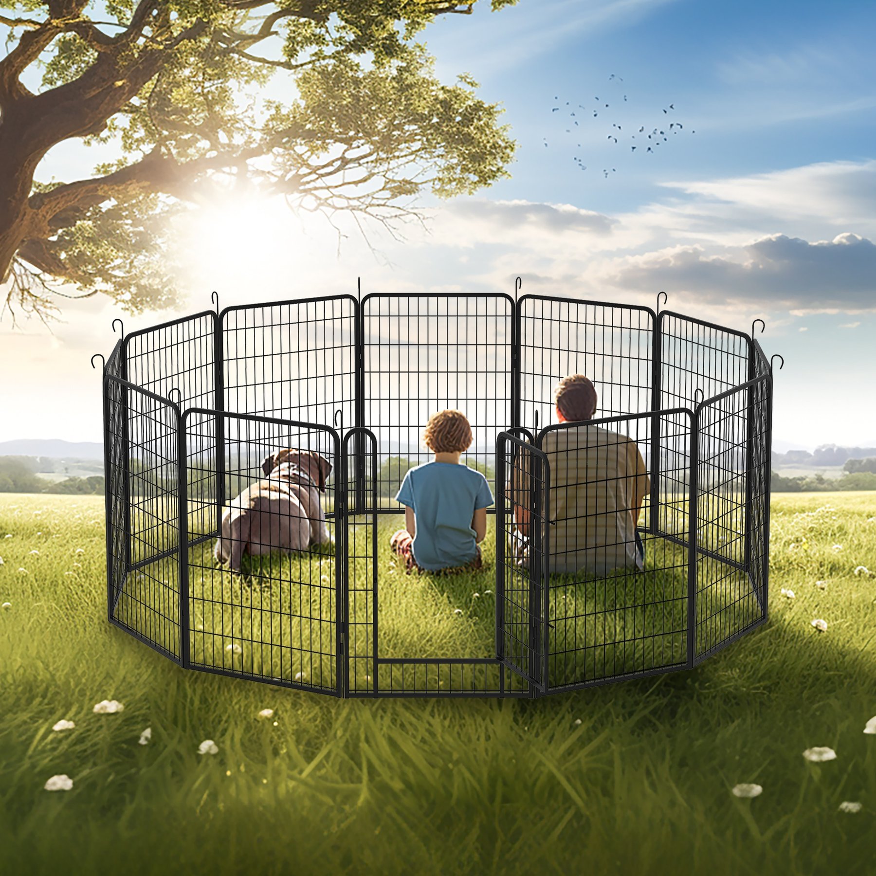 Cesicia Outdoor 12-Panel Metal Dog Playpen, Black