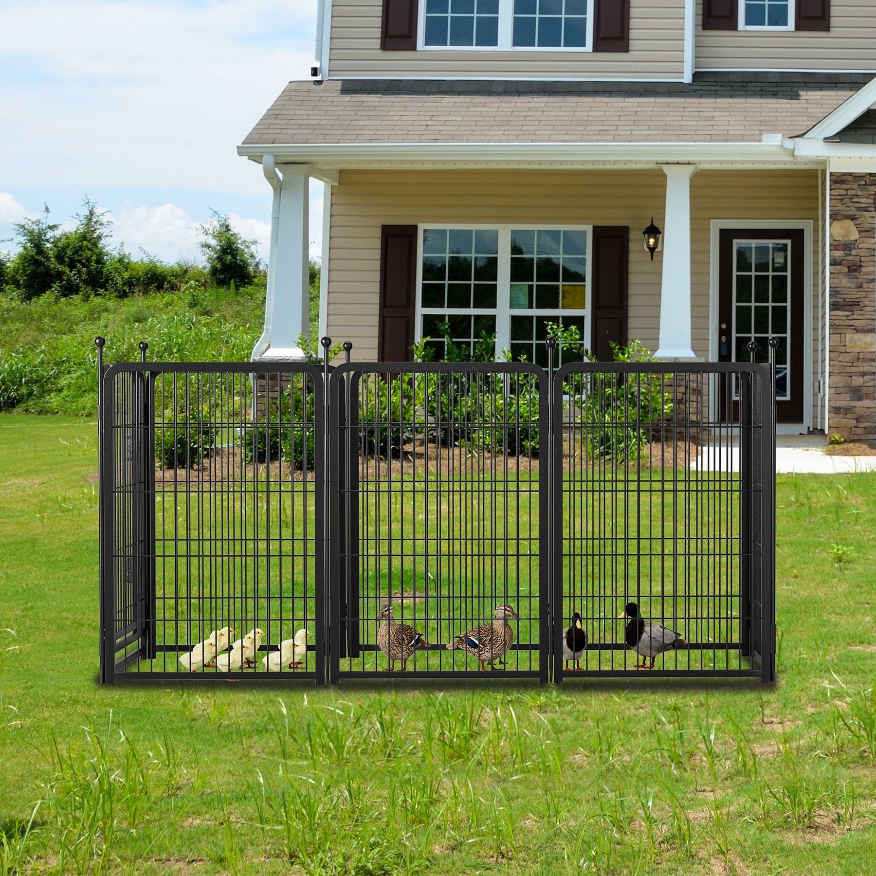 Cesicia Indoor/Outdoor Dog Exercise Pen, Black