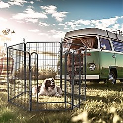 Cesicia Indoor & Outdoor 6-Panel Metal Dog Fence, Black
