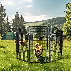 Cesicia Indoor & Outdoor 8-Panel Metal Dog Fence, Black