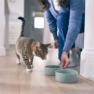 Purina Petivity Microbiome Comprehensive Gut Profile Analysis Kit for Cats & Dogs
