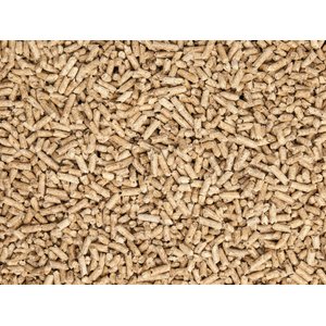 Feline Fresh Pine Pellet Unscented Non-Clumping Cat Litter, 20-lb bag