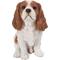 Show in main carousel: Hi-Line Gift King Charles Spaniel Sitting Statue, 9.2-in slide 2 of 7