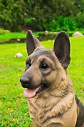 Hi-Line Gift German Shepherd Sitting Statue, 15.55-in slide 2 of 7