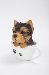 Hi-Line Gift Teacup Yorkshire Terrier Puppy Statue, 6-in slide 2 of 7