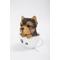 Show in main carousel: Hi-Line Gift Teacup Yorkshire Terrier Puppy Statue, 6-in slide 3 of 7
