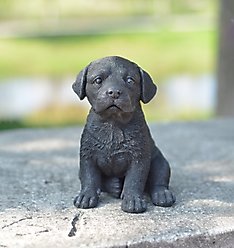 Hi-Line Gift Black Labrador Puppy Statue