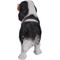 Show in main carousel: Hi-Line Gift King Charles Spaniel Statue, 12.5-in slide 5 of 6