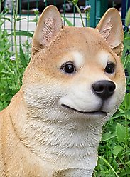 Hi-Line Gift Shiba Inu Sitting Statue, 15.83-in slide 2 of 7