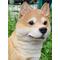 Show in main carousel: Hi-Line Gift Shiba Inu Sitting Statue, 15.83-in slide 6 of 7