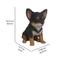 Show in main carousel: Hi-Line Gift Chihuahua Puppy Statue, Black & Brown, 6.5-in slide 7 of 7