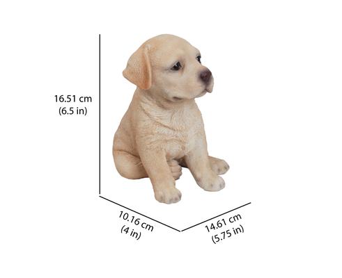 Show full view: Hi-Line Gift Yellow Labrador Puppy Statue, 6.5-in slide 6 of 6