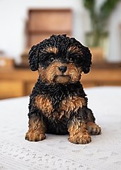 Hi-Line Gift Baby Cavapoo Statue, Black & Tan, 5.91-in