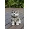 Show in main carousel: Hi-Line Gift Malamute Puppy Sitting Statue, 6.5-in slide 1 of 9