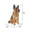 Show in main carousel: Hi-Line Gift German Shepherd Sitting Statue, 15.55-in slide 7 of 7