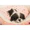 Show in main carousel: Hi-Line Gift Black/White Shih Tzu Puppy Sleeping Statue slide 8 of 8