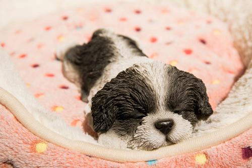 Show full view: Hi-Line Gift Black/White Shih Tzu Puppy Sleeping Statue slide 8 of 8