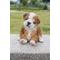 Show in main carousel: Hi-Line Gift Sitting Sleepy Bulldog Puppy Statue, 7-in slide 1 of 6