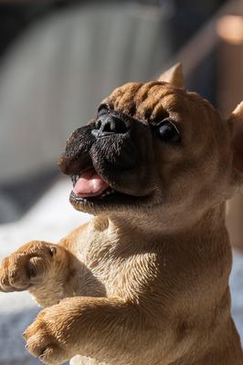 Show full view: Hi-Line Gift Standing French Bulldog Statue, 7.68-in slide 6 of 8