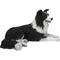 Show in main carousel: Hi-Line Gift Lying Down Border Collie Statue, 14.17-in slide 5 of 8