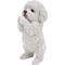 Show in main carousel: Hi-Line Gift Poodle Puppy Playing Statue, 8.5-in slide 4 of 7
