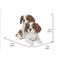 Show in main carousel: Hi-Line Gift King Charles Puppies Sitting Statue, 5.91-in slide 7 of 8