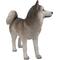 Show in main carousel: Hi-Line Gift Siberian Husky Statue, 22-in slide 5 of 6