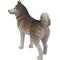Show in main carousel: Hi-Line Gift Siberian Husky Statue, 22-in slide 3 of 6