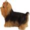 Show in main carousel: Hi-Line Gift Yorkshire Terrier Statue, 9.5-in slide 5 of 6