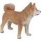 Show in main carousel: Hi-Line Gift Standing Shiba Inu Statue, 16.5-in slide 3 of 5