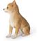 Show in main carousel: Hi-Line Gift Sitting Chihuahua Statue, 9.5-in slide 3 of 7