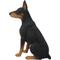 Show in main carousel: Hi-Line Gift Sitting Doberman Pinscher Statue, 24-in slide 3 of 5
