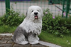 Hi-Line Gift Old English Sheepdog Statue, 17.75-in