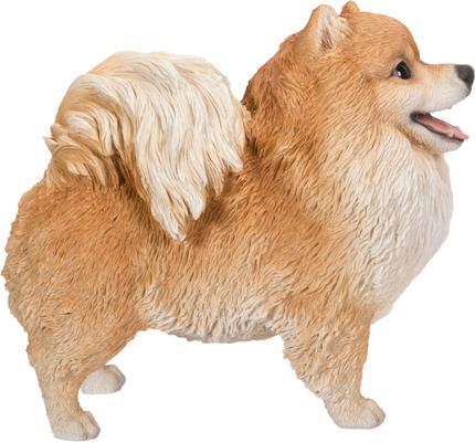 Show full view: Hi-Line Gift Standing Pomeranian Statue, 11.61-in slide 5 of 9