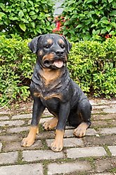 Hi-Line Gift Rottweiler Sitting Statue, 20.87-in